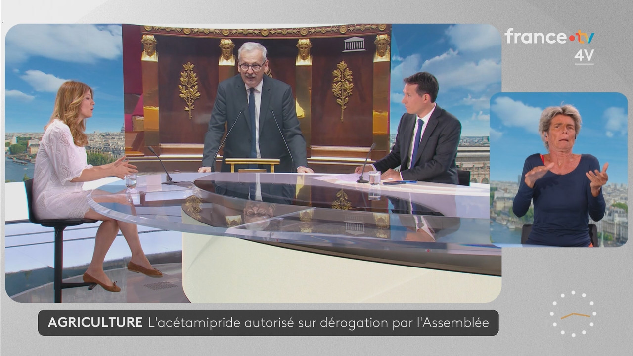 Journal 08h00 (France 2) 2026 07 21 06 55 81 ts snapshot 22 02 886