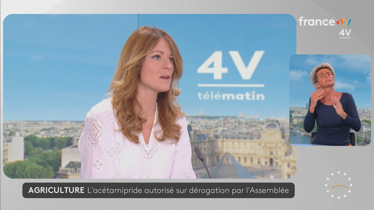 Journal 08h00 (France 2) 2026 07 21 06 55 81 ts snapshot 22 51 793