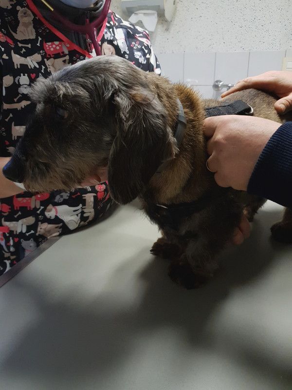 [Image: 20220203-204357.jpg]