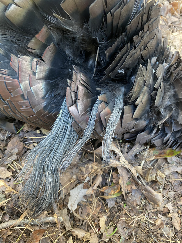 E7FE4121-A5D3-4430-A73B-1BAD9A4A647F