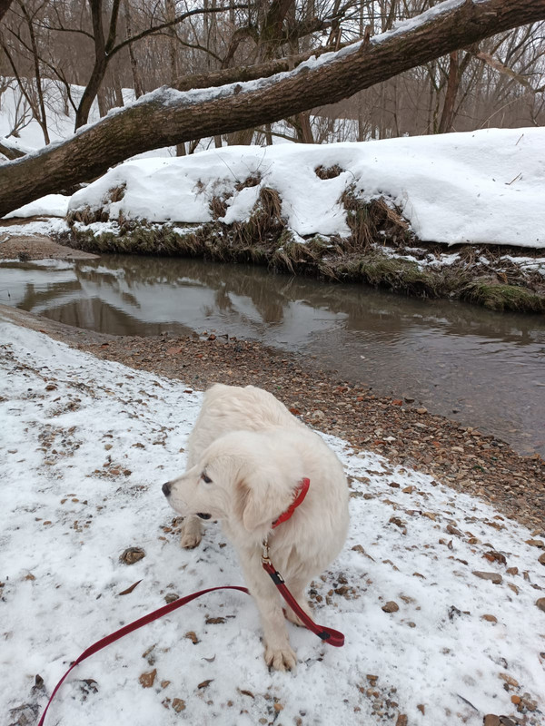 85A7D313-C472-45CC-8592-6663D42E506E