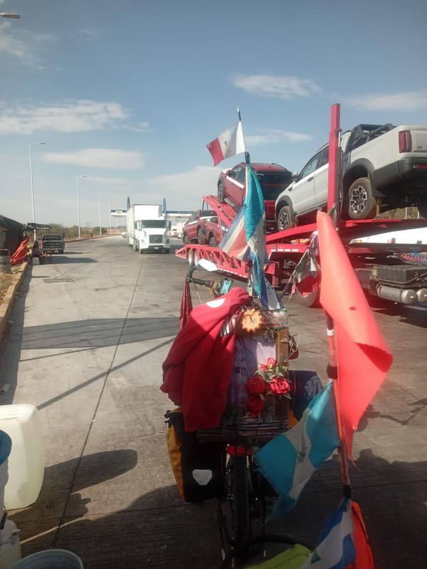 IMG-20250307-WA0019(1)