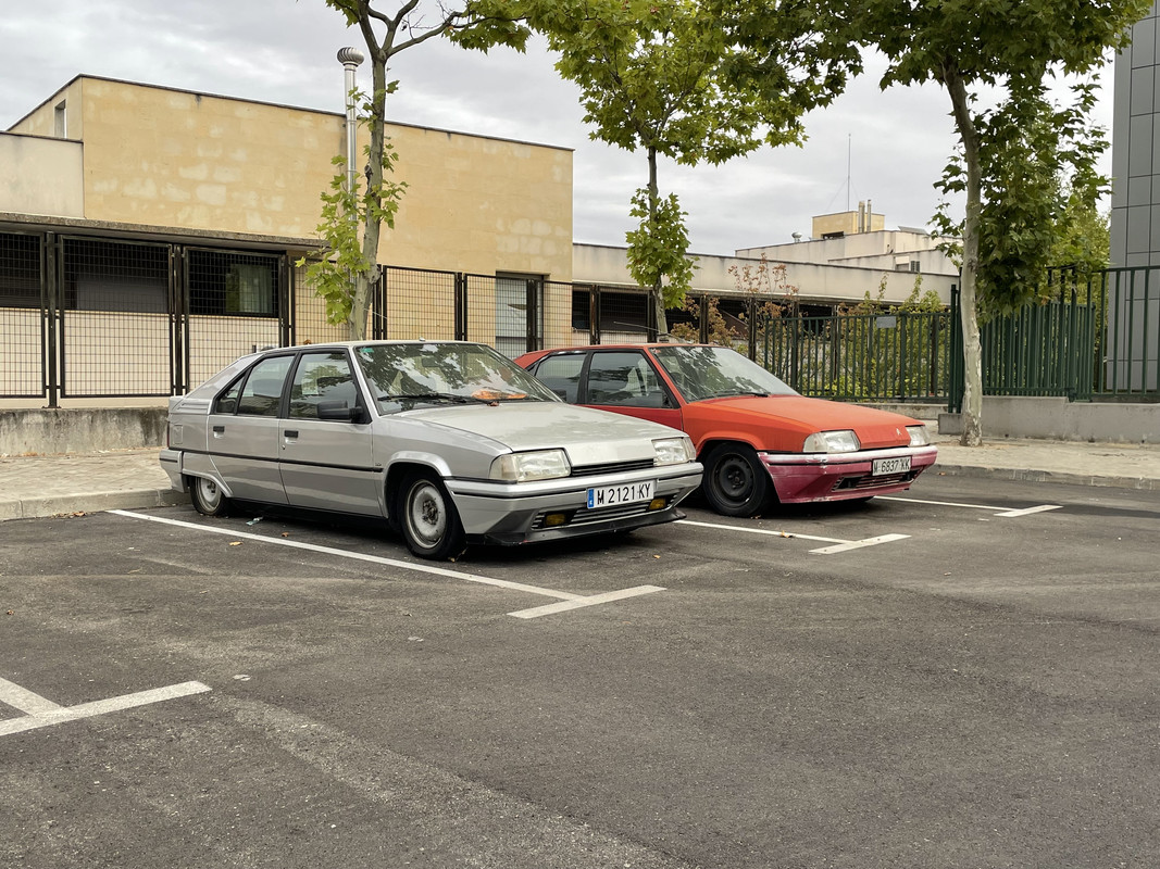 85-D45-D8-D-C934-42-BD-A8-F1-477-CD99-C8-B6-B.jpg