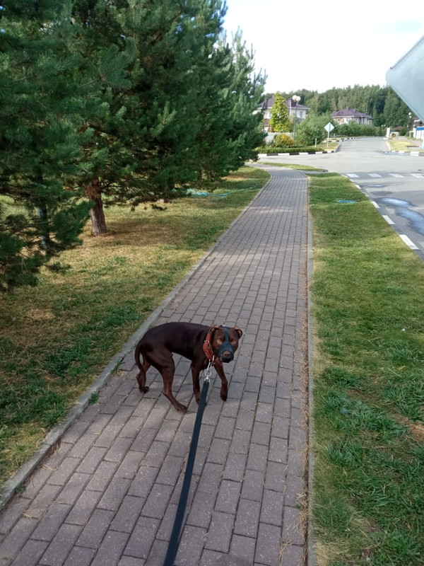 BC8C4B64-27B1-4C1E-815E-920C1C188974