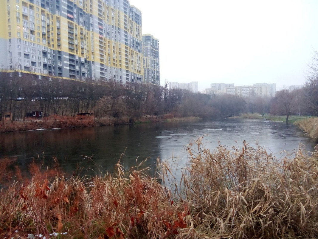 photo_2024-12-01 9.05.55 дп