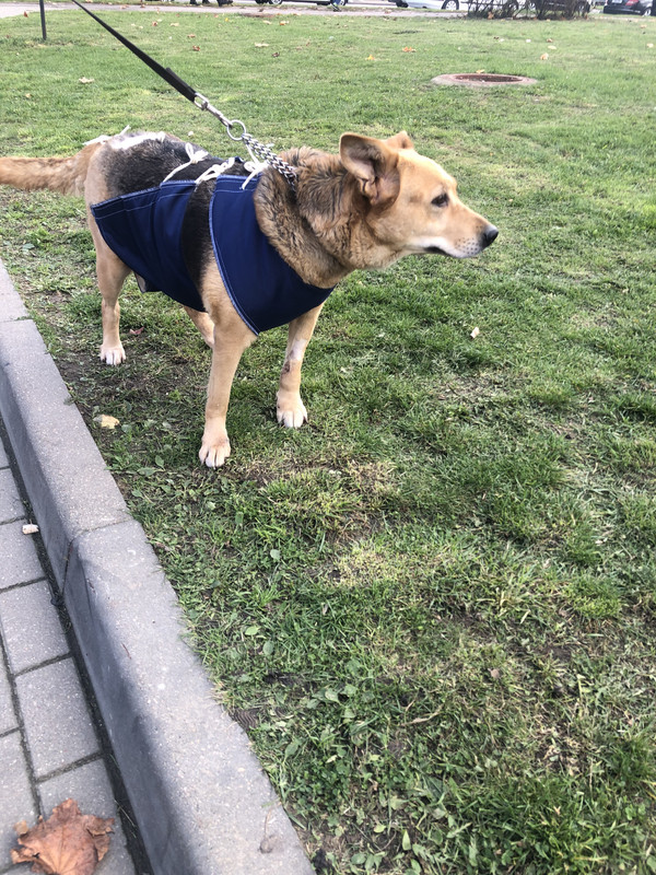 8F61C340-1FCD-4A55-BC92-9328E3307F98