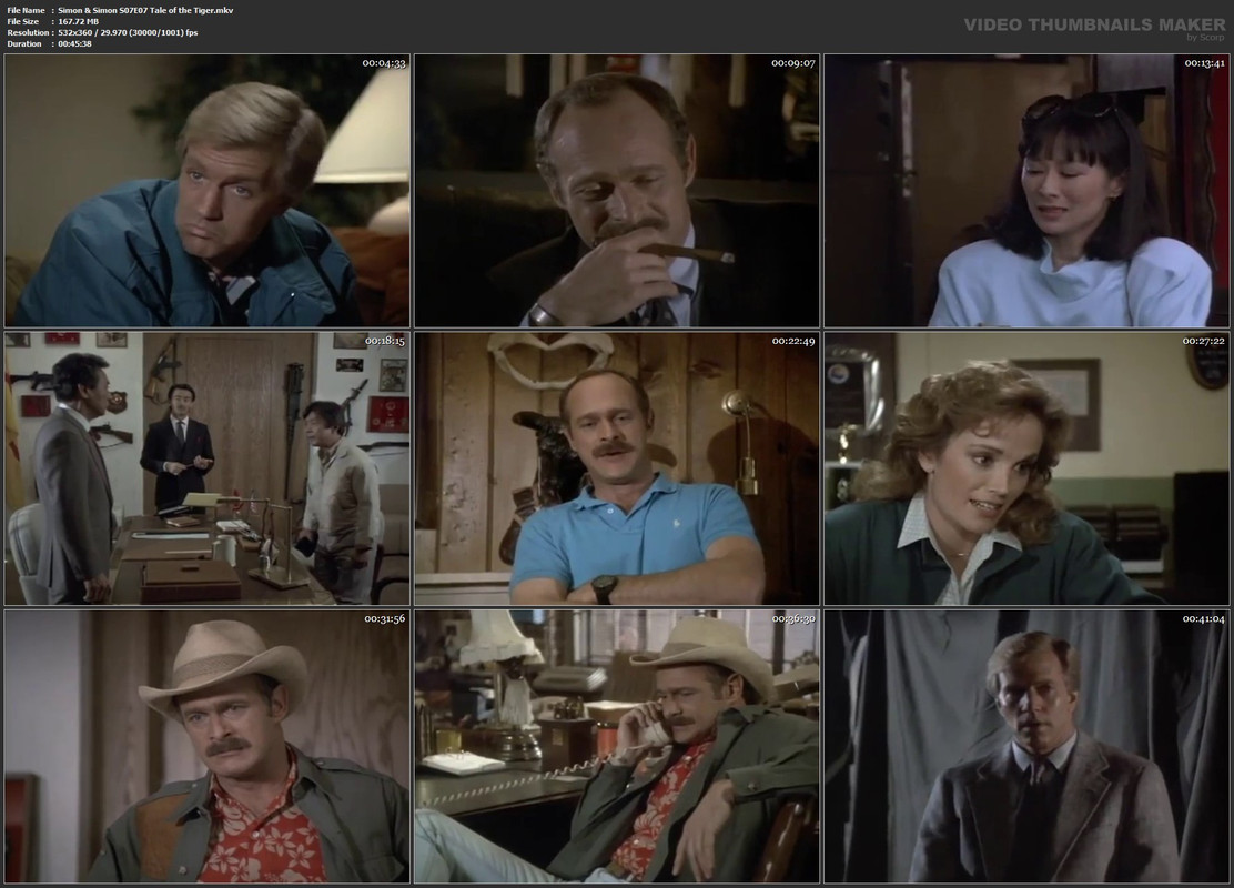 Simon & Simon S07E07 Tale of the Tiger.mkv