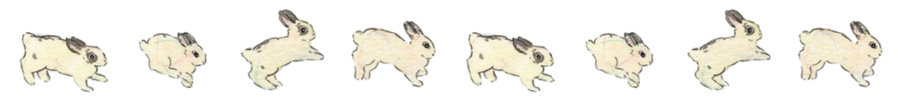 bunnies div bunnies div