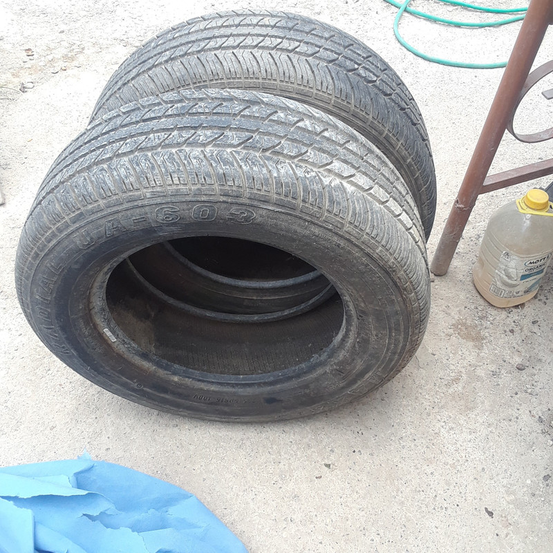20190727_120635