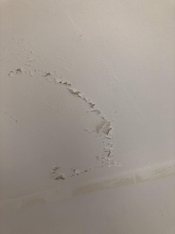 AE464250-D793-4647-9011-761A42F5913B