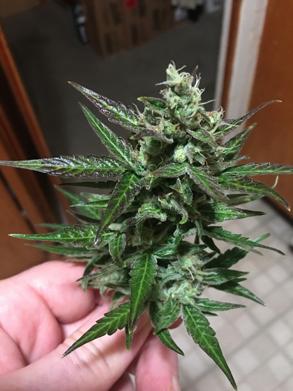 C5708F03-C3A1-4794-829B-3D02460238AA