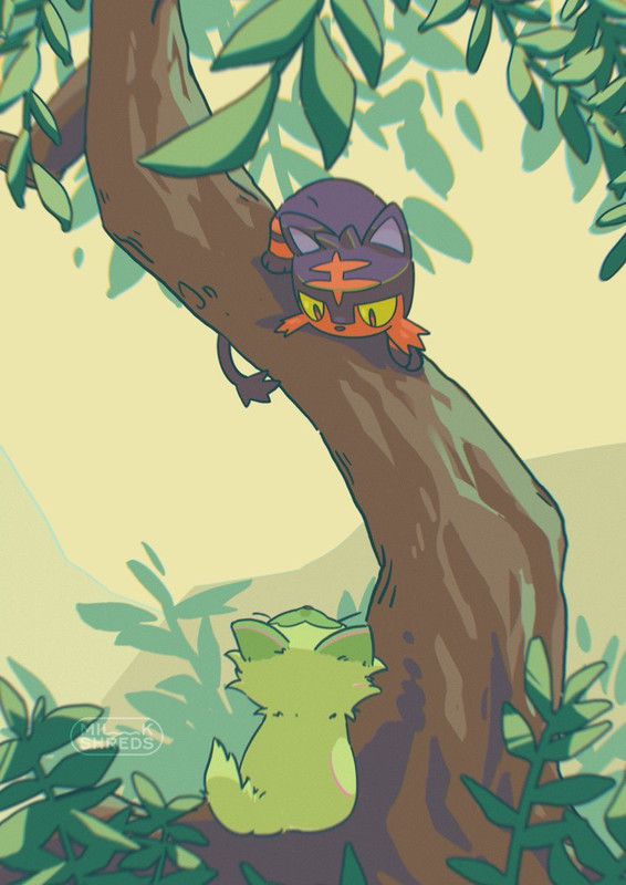 sprigatito-and-litten-pokemon-drawn-by-m