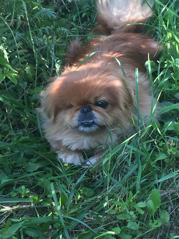 5A69BFD8-CC9E-4A6E-9E7B-1A7E7BA7BA16