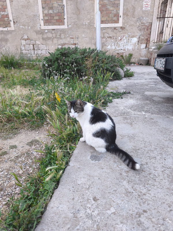 Whats App Image 2026 05 04 at 20 58 42 (2)