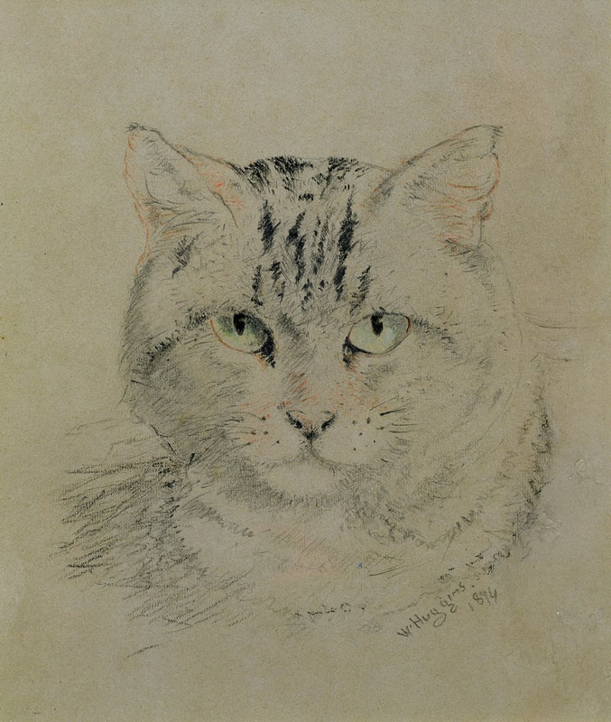William-Huggins-Tabby-Cat-1874-pencil-crayon-and-charcoal-on-paper-Meister-Drucke-172117