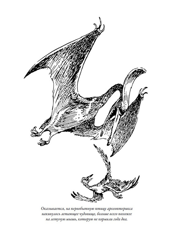 TFbbi731aqe5WeKpuyUgw8ku6N9ZUfo2UzHxOGttRmc=