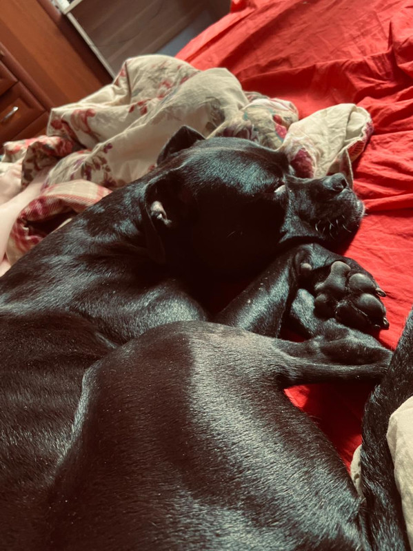 DE0D4CCE-AA13-45AD-874B-DE2773EA7D38