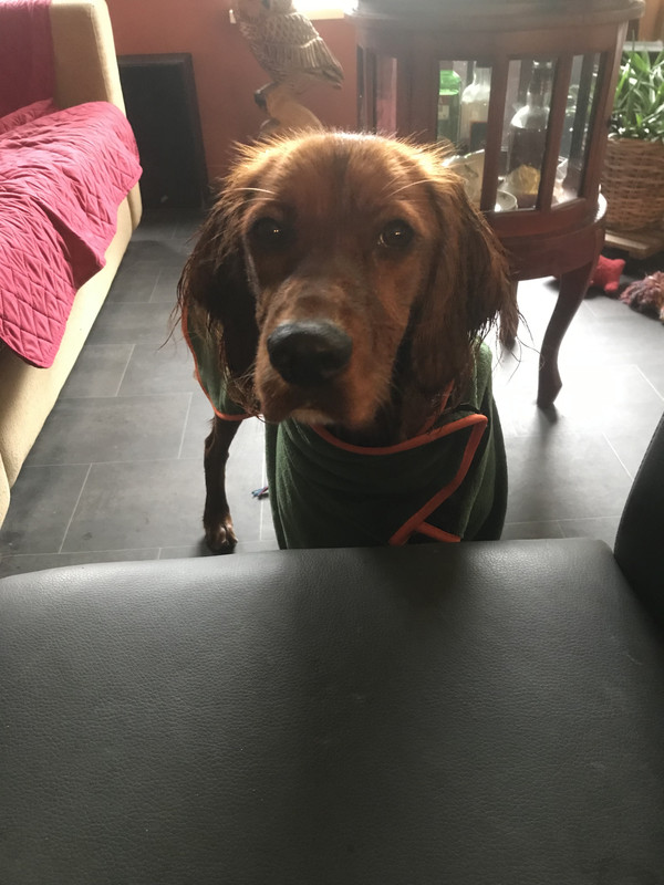 7F02D903-593D-4AAC-BE0B-ED79C2997028