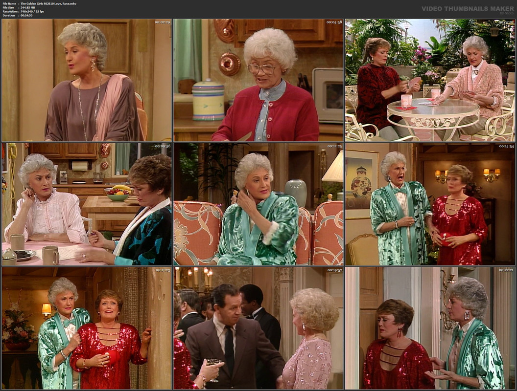 The Golden Girls S02E10 Love, Rose.mkv