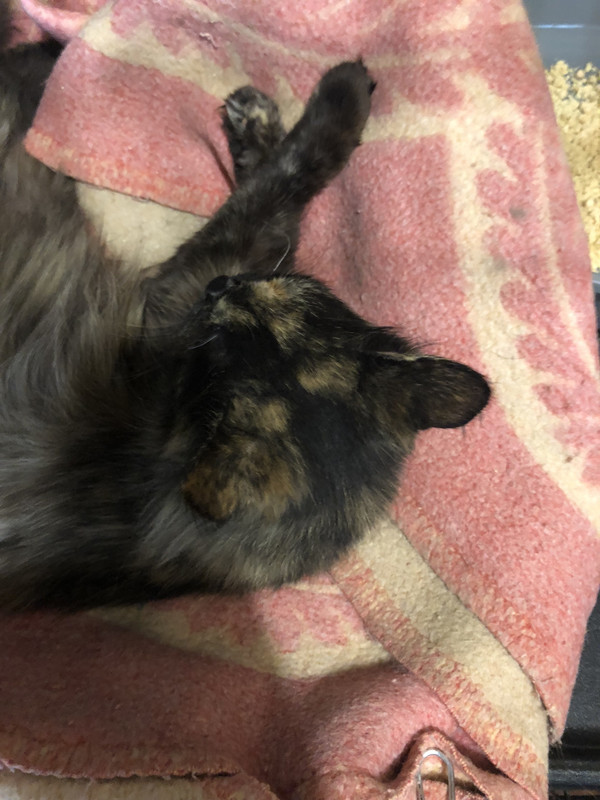 83711084-6D86-400B-AD18-6CB6C3DD8B0E