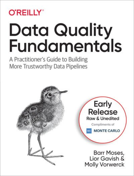 Data Quality Fundamentals (Second Early Release)