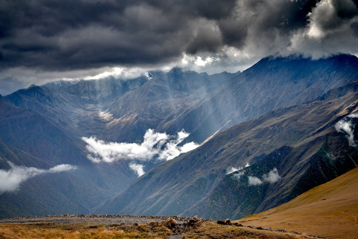 108D8F2A-885F-4ABB-AFF6-4754A0DE04D6