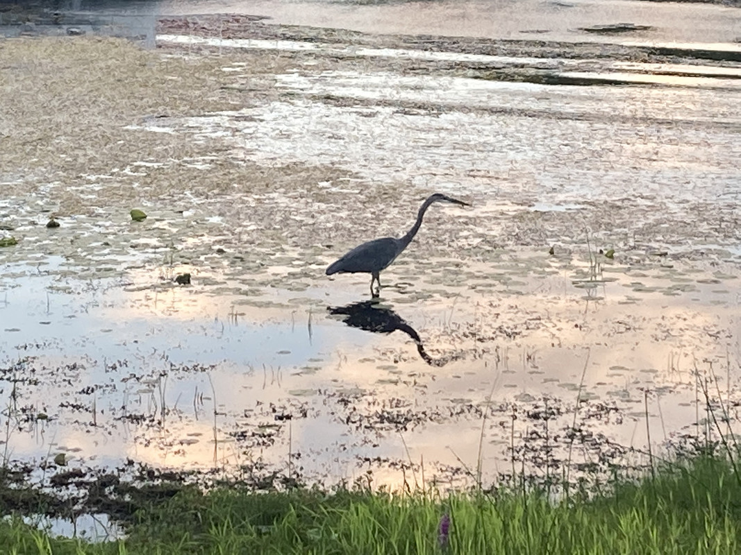 4739C949-E602-4966-8250-4EB2EBF19DC0