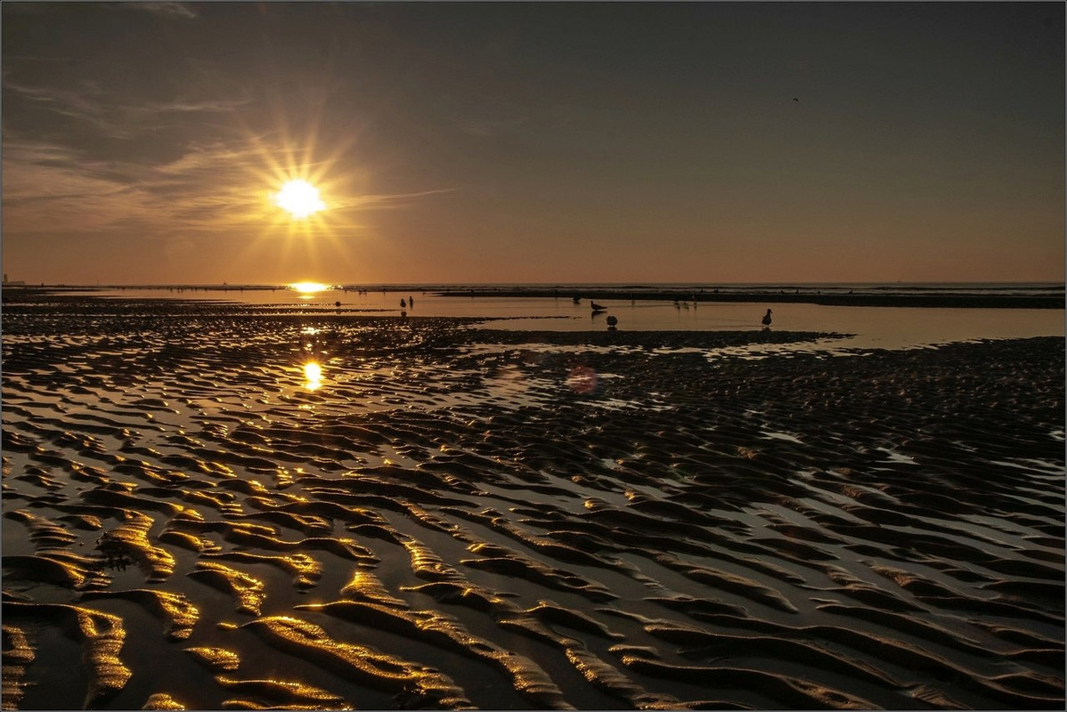 0XT24319 2018 De Haan LR ERWZ FB LRERWZ