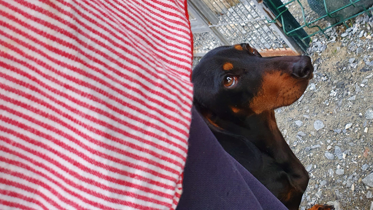 [Image: 20221005-062813.jpg]