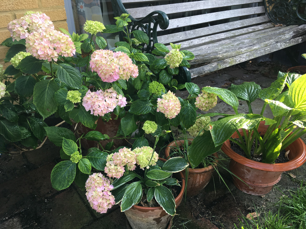 570FFFC0-D789-4288-A108-8AE94E86CE36