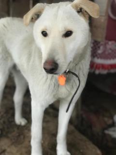 gkVCcfDMnhI - копия