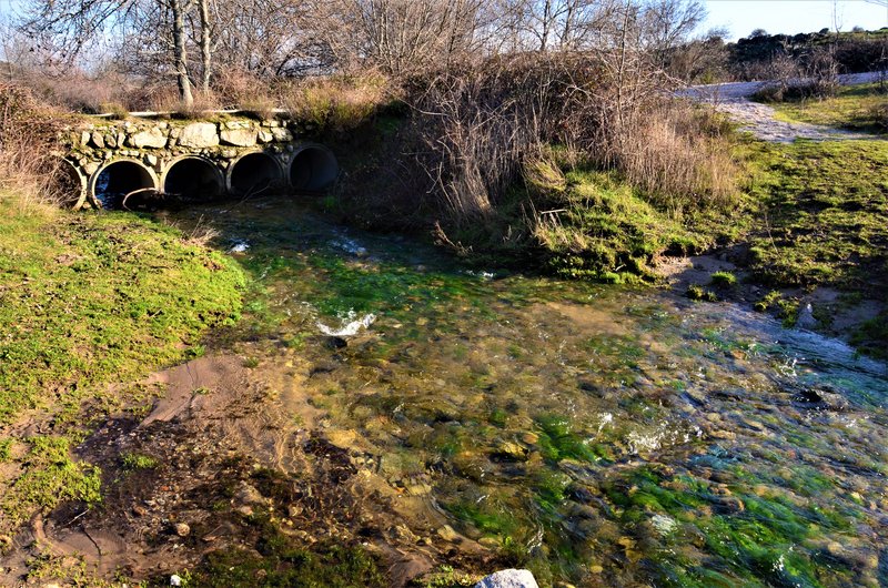 RUTA LOS PORRONES-11-1-2014-MADRID - Paseando por España-1991/2016 (67)