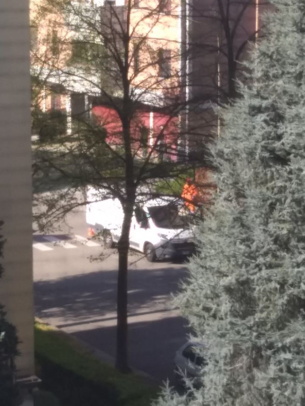 92156629_10217394334905524_6157329750508437504_o