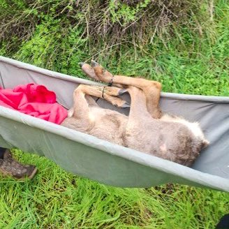 Foto cedida por Ayuntamiento de Alcalá