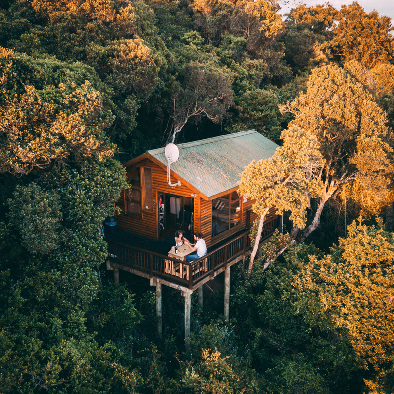 Treehouses