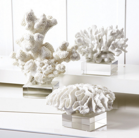 white-coral-buy.png