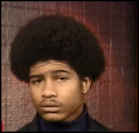 IMG-1019.gif