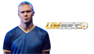 Icon service category for Musik