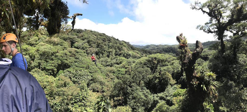 DE TORTUGAS Y PEREZOSOS. COSTA RICA 2019 - Blogs de Costa Rica - DIA 11: TIROLINAS EN MONTEVERDE Y TOUR NOCTURNO POR LA SELVA (11)
