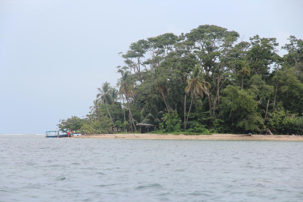 DÍA 5: PARQUE NACIONAL CAHUITA - DE TORTUGAS Y PEREZOSOS. COSTA RICA 2019 (24)