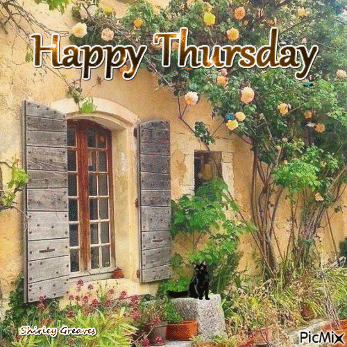 THURSDAY-jeudi-43