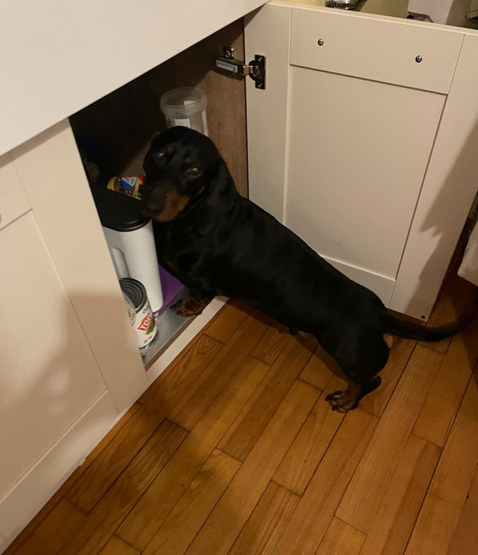 [Image: IMG-20250118-WA0000.jpg]