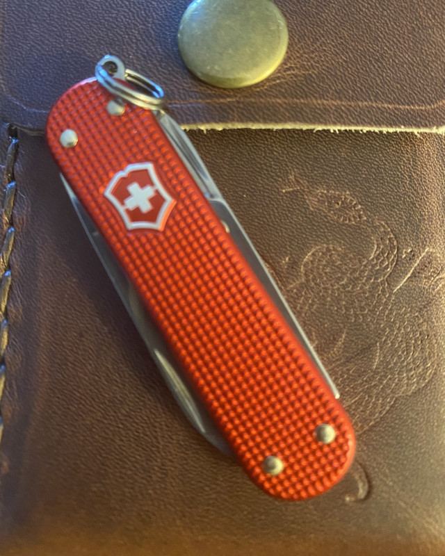 123807C8-8778-49DD-9B9A-E8B431BDF3C6