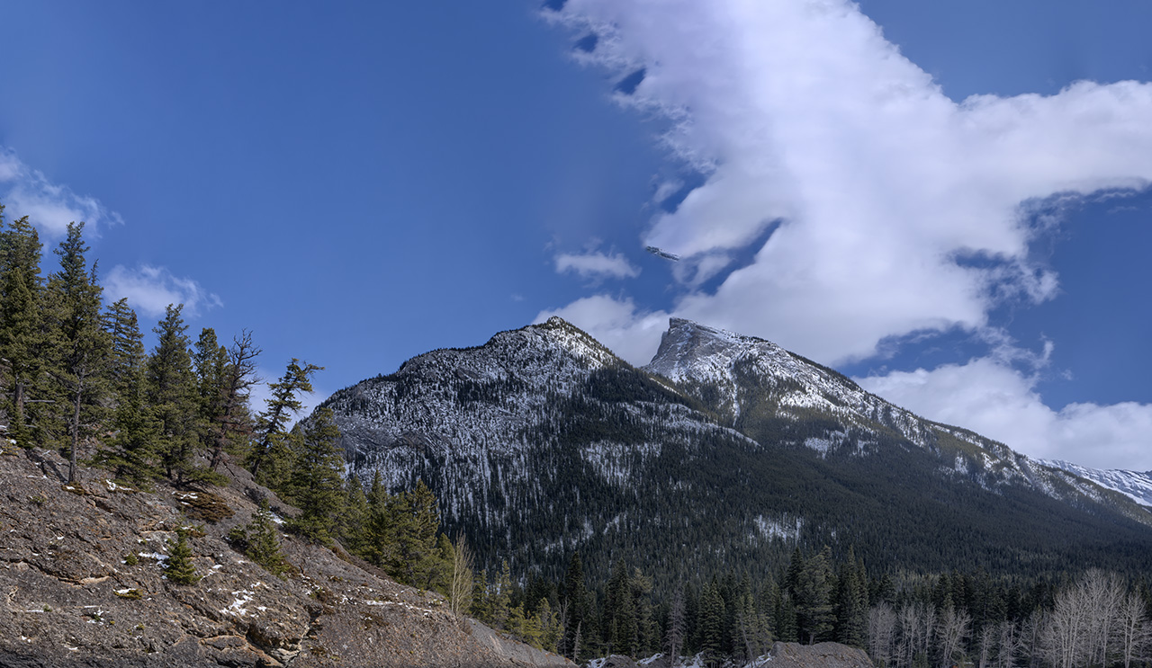 IMAGE: https://i.postimg.cc/pXwZ4BZ2/DSCF0337-Dx-O-HDR-cop2y.jpg