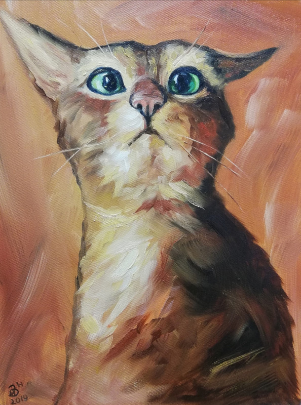 Питерский-котх.м.50х40.2019