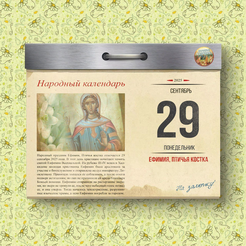 [Изображение: photo-2025-09-28-22-53-51.jpg]