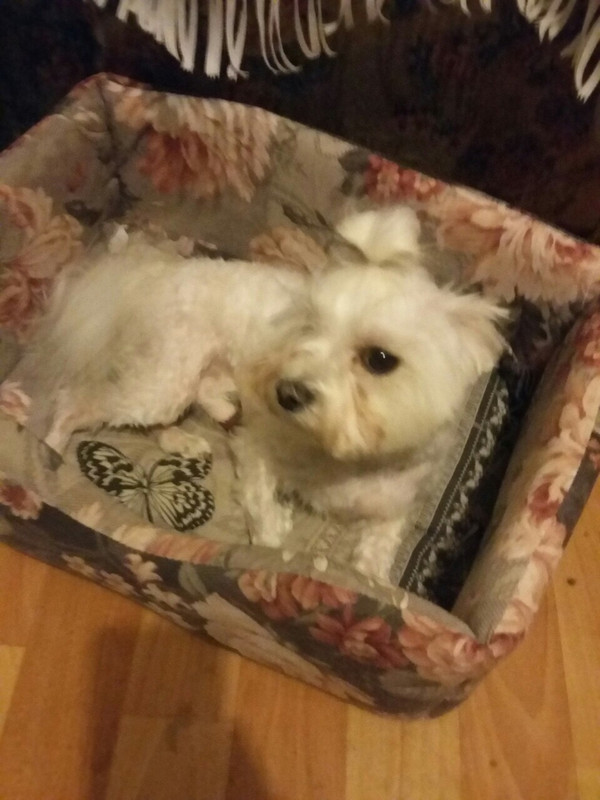 68E891B3-FCD9-46F5-A7A1-BC94CA654E1F