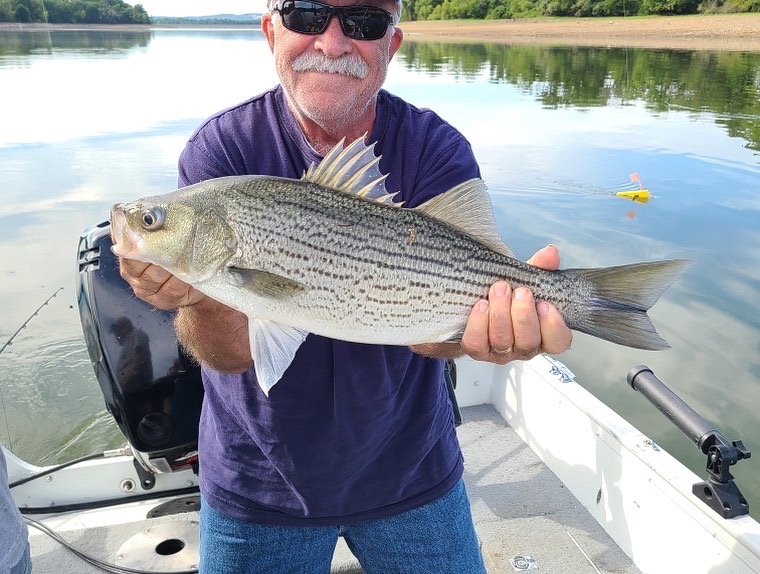 DF8F18F1-D52C-4058-82FC-8BE8E34DC835