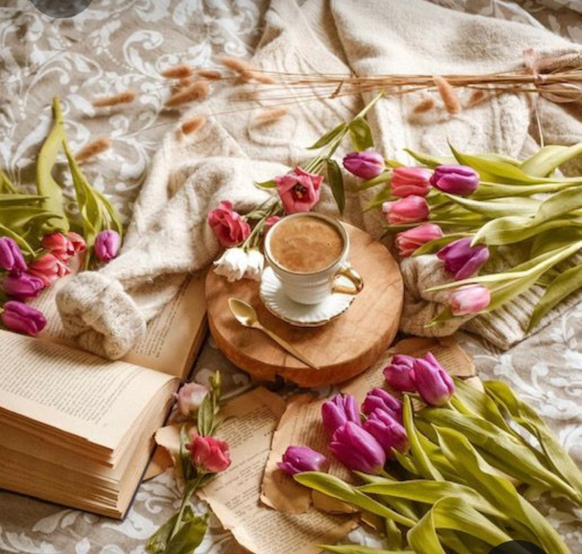 Screenshot_20230603_222538_Pinterest