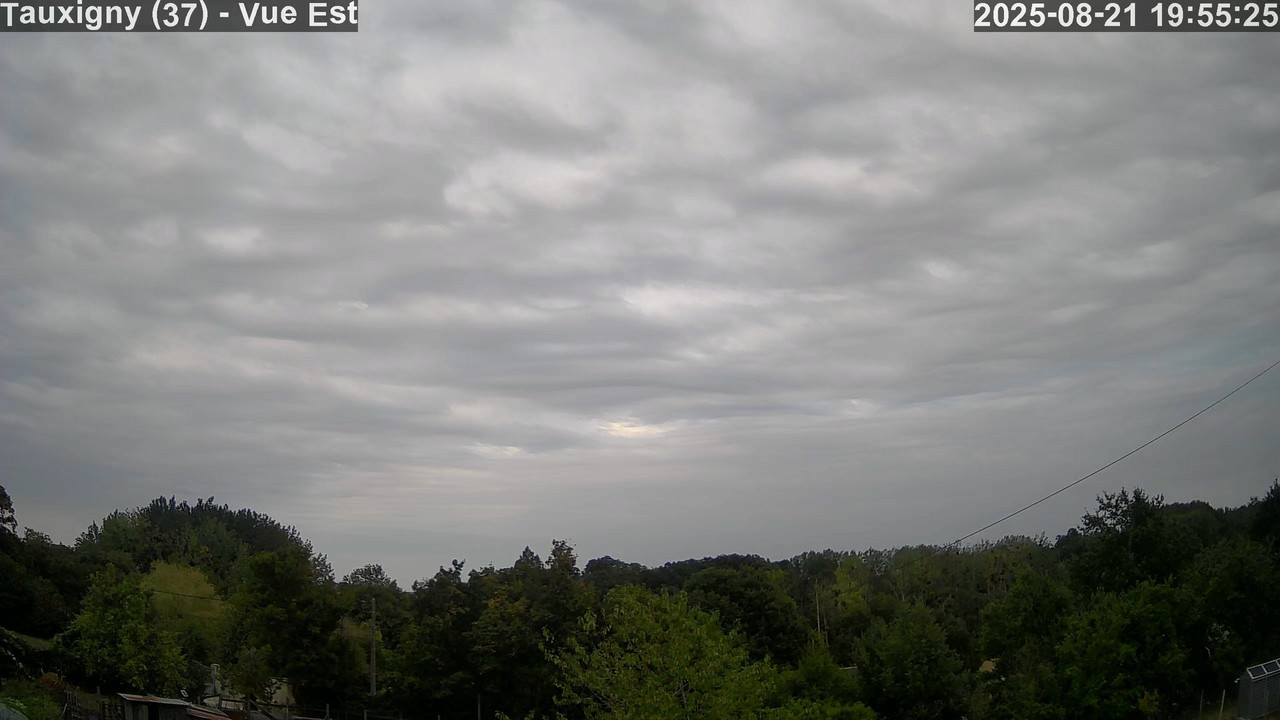 IMG-20250821-195527-1.jpg